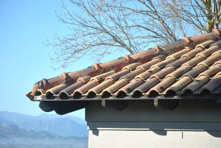Residential house with multi-coloured terracotta roof tiles and no gutters, highlighting potential drainage concerns; Paarl mountains, a leafless tree, and clear blue sky in the background – Discover Home Inspections, South Africa.